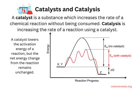 催化作用|Understanding the power of catalysis 